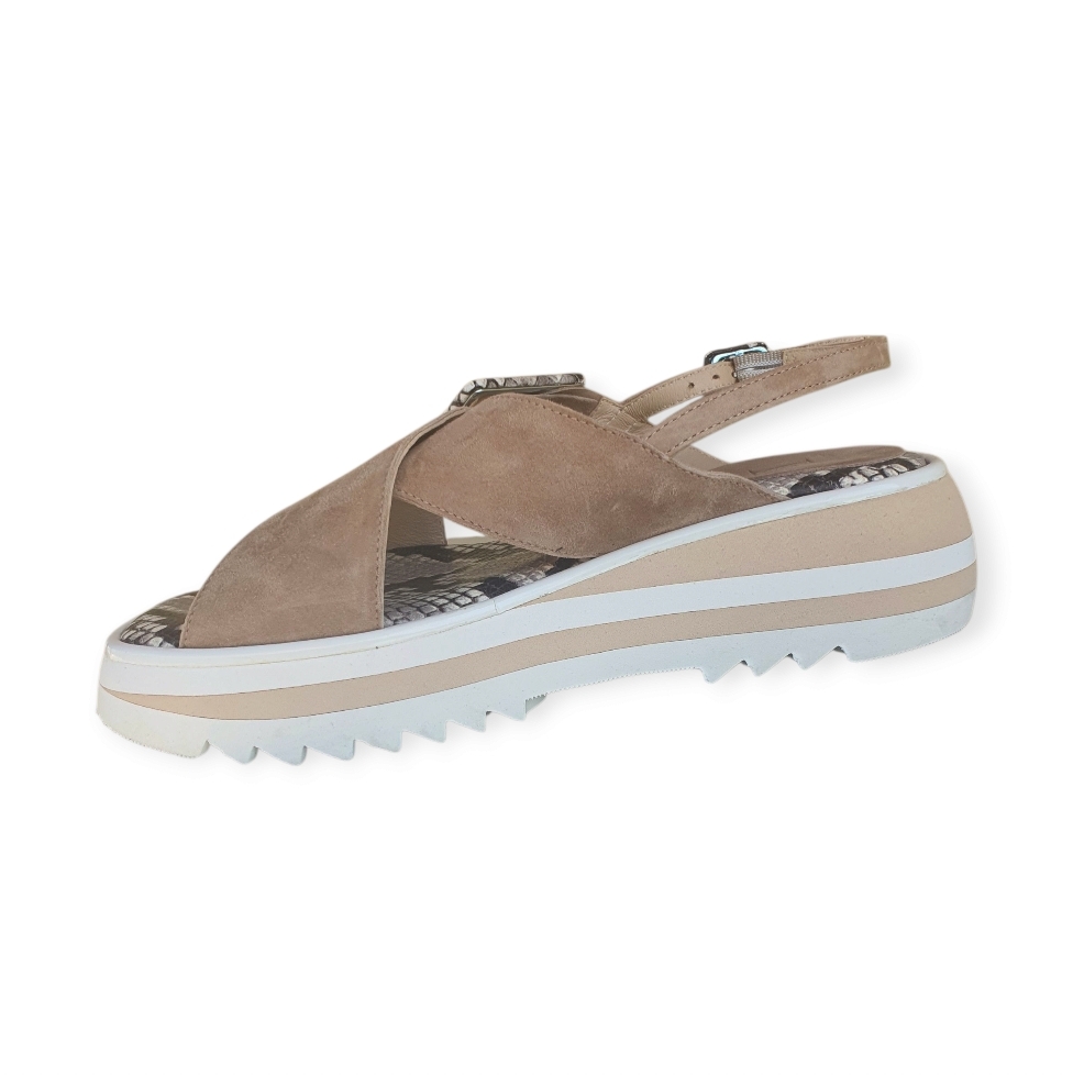 H177S Cam. new biscuit